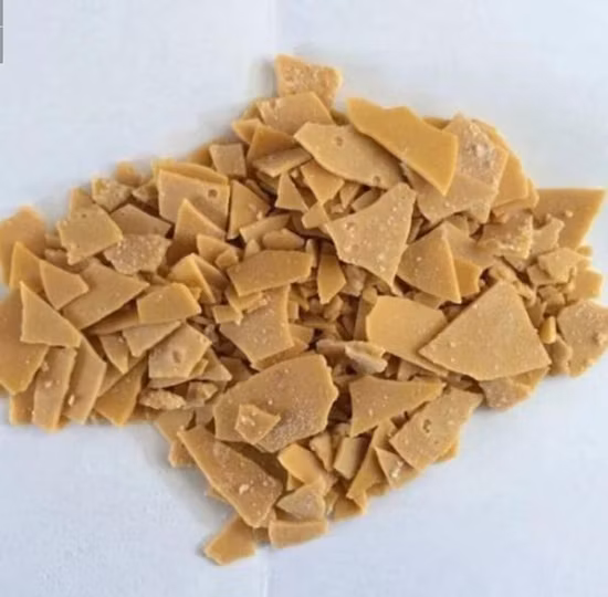 CAS1313